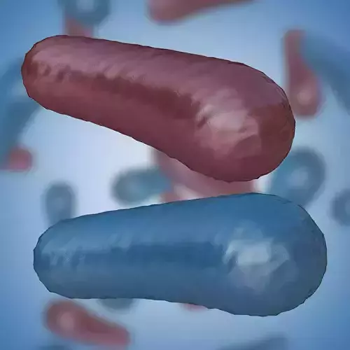 Bacterium 3 bacteria in background Low-poly 3D model