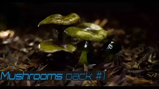 Mushrooms pack 1