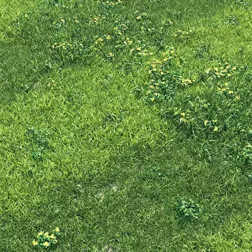 England grass garden 3D model