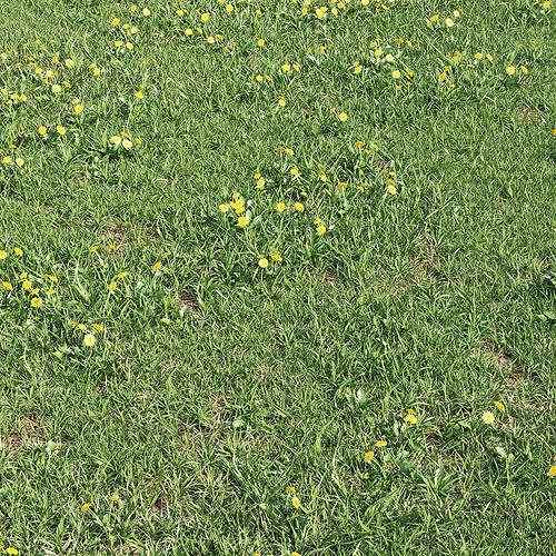 Grass landscape 3D model