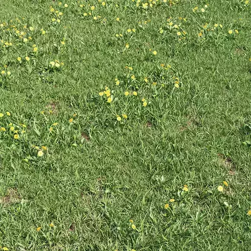 Grass landscape 3D model