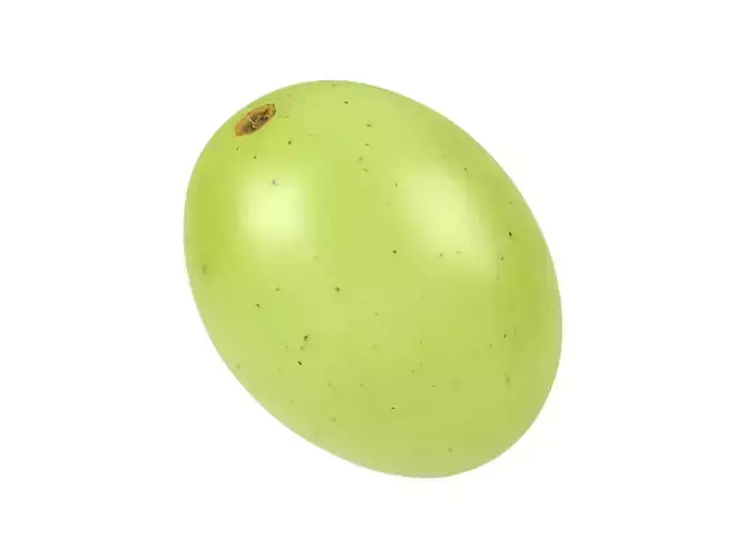 Photorealistic Grape 3D Scan 2