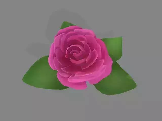 Pink Flower