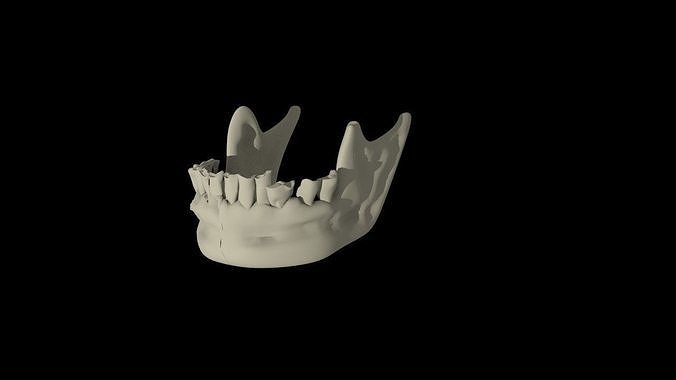 Mandible tooth Free 3D model