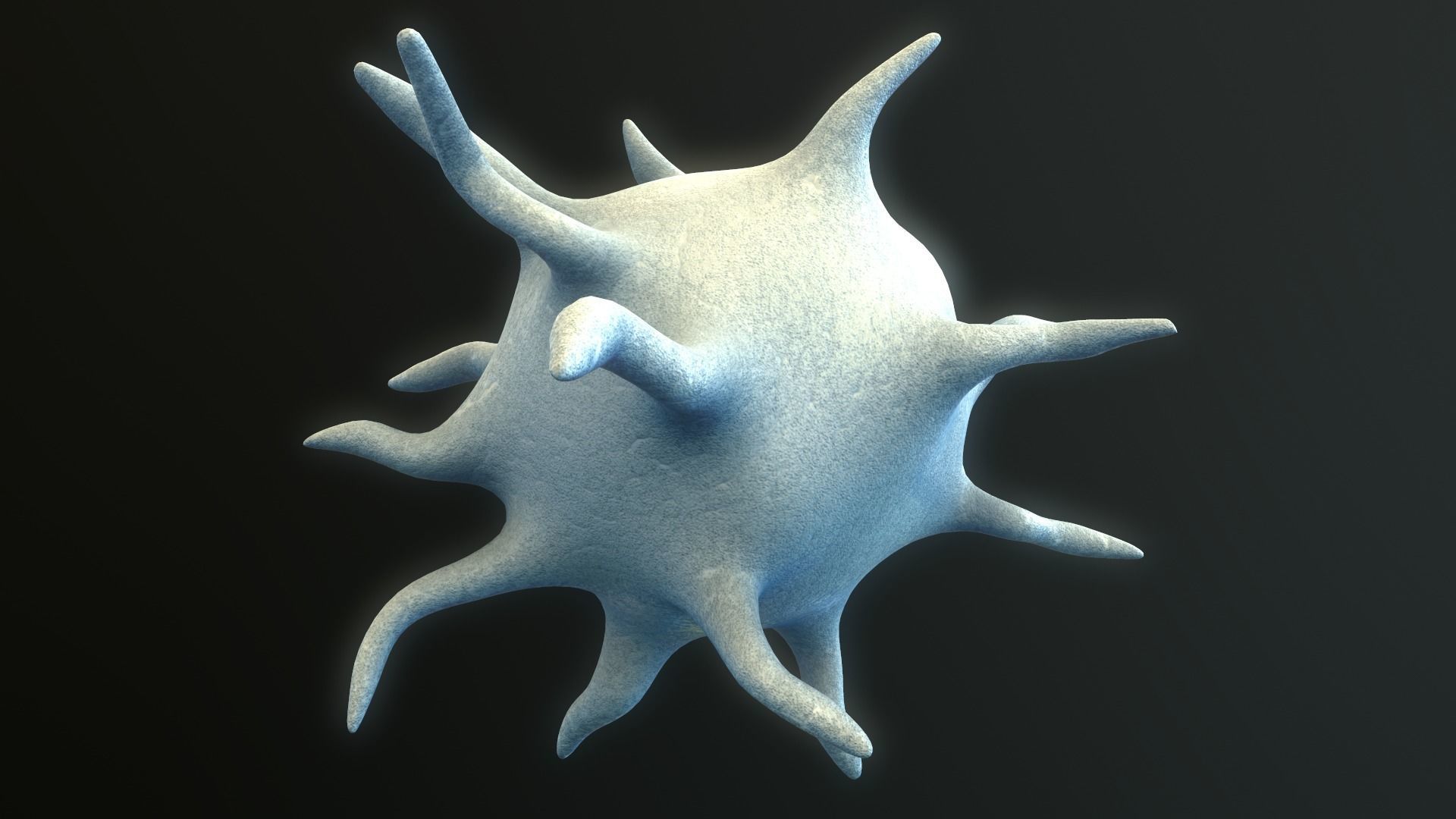 Platelet Thrombocyte 3D model_3