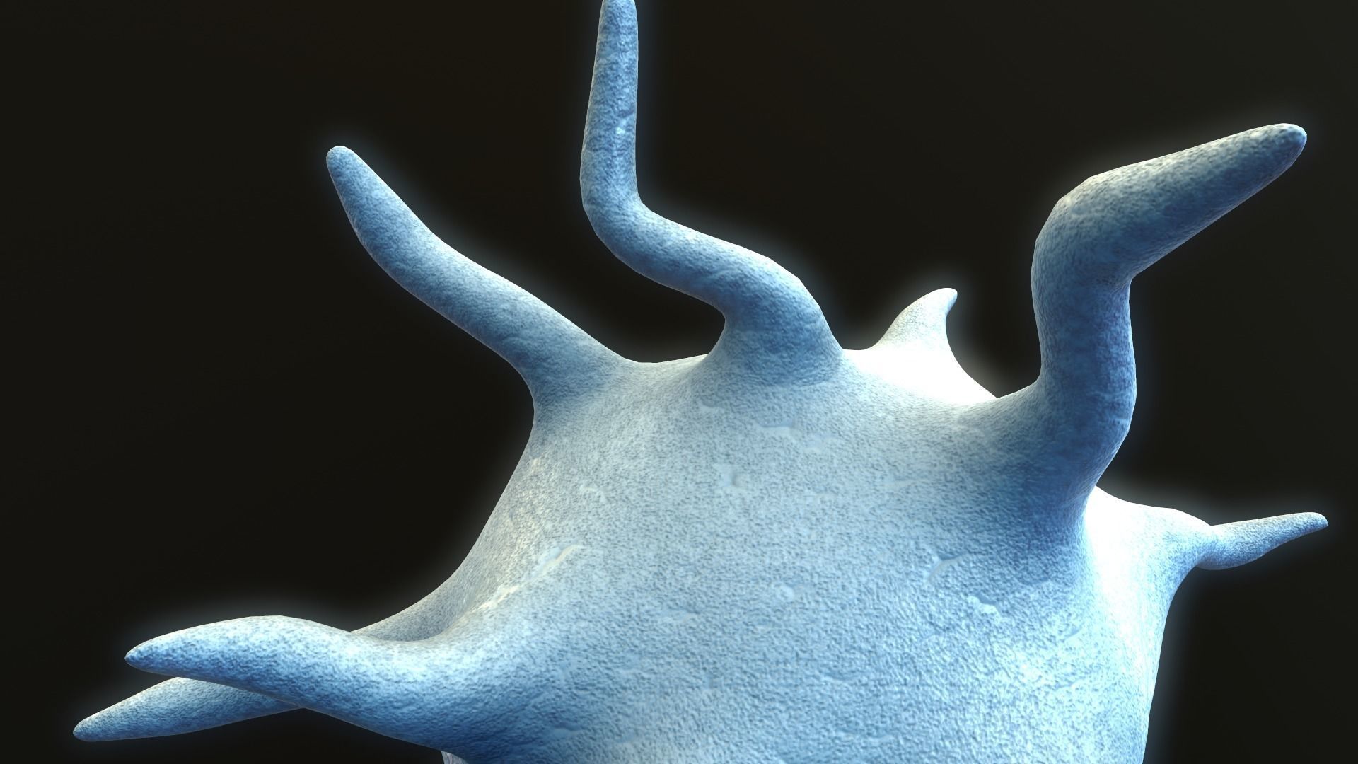 Platelet Thrombocyte 3D model_7