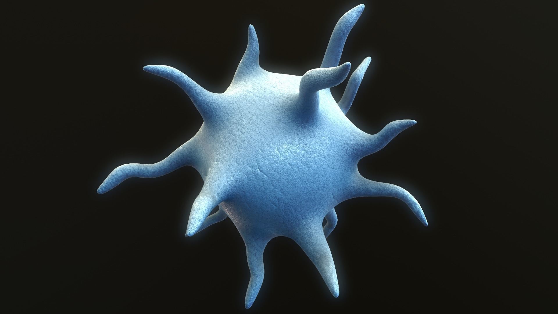 Platelet Thrombocyte 3D model_5