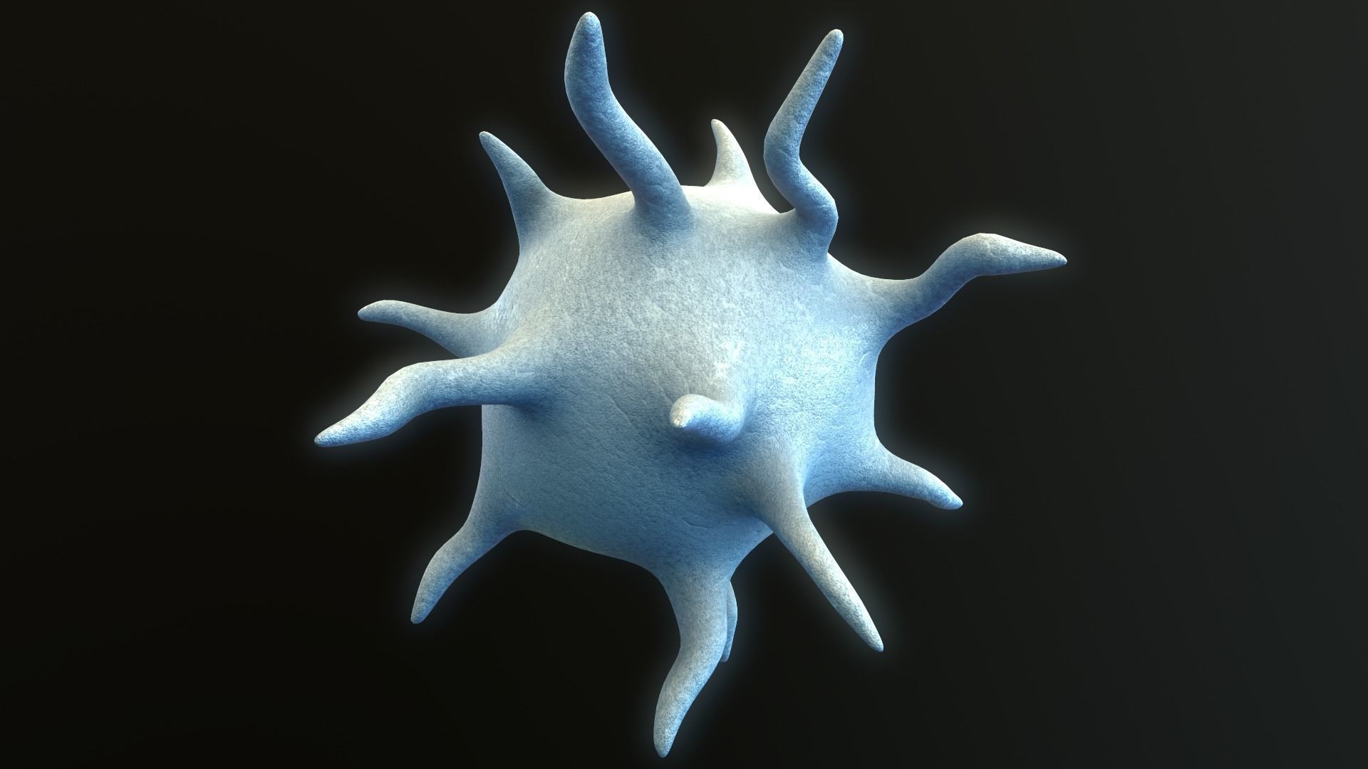 Platelet Thrombocyte 3D model_4