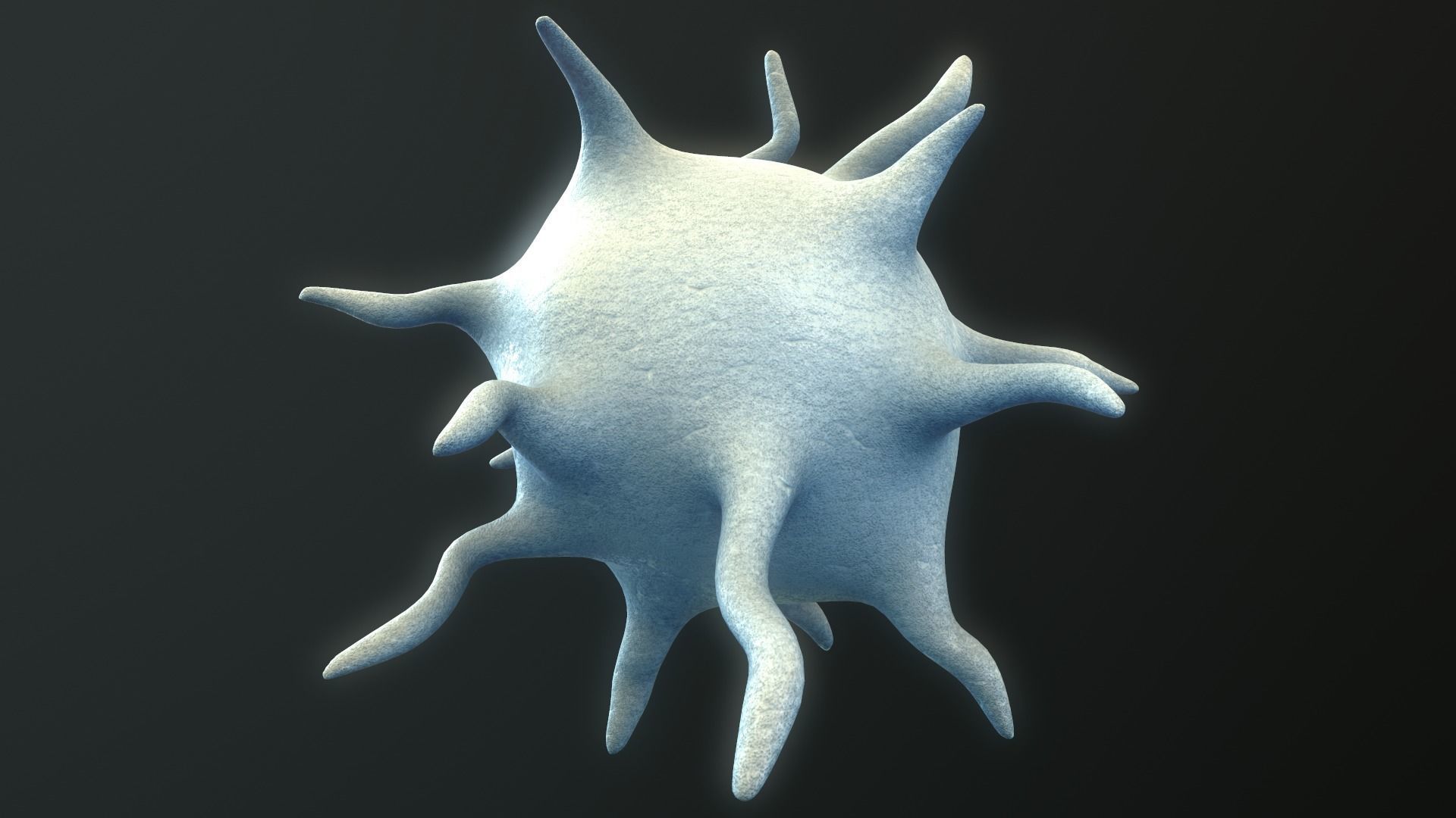 Platelet Thrombocyte 3D model_1