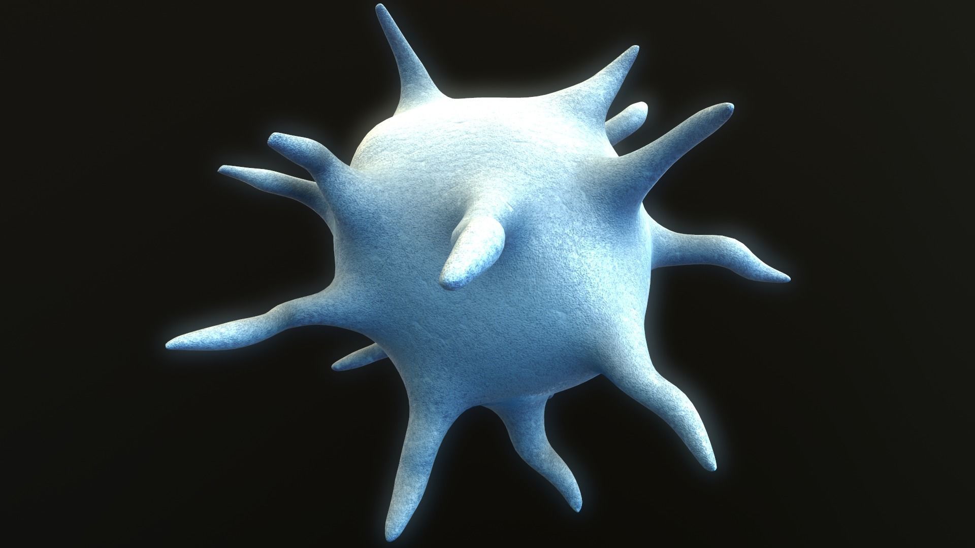 Platelet Thrombocyte 3D model_6