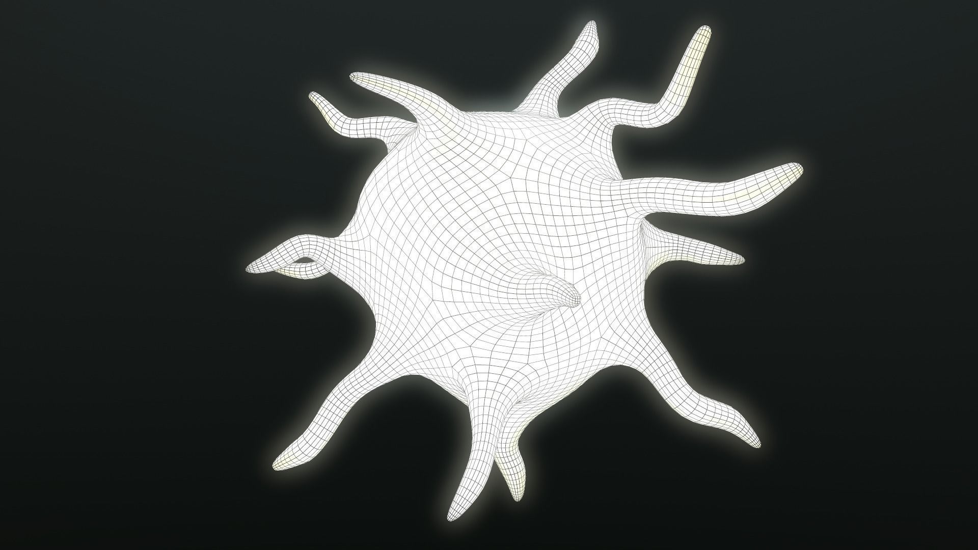 Platelet Thrombocyte 3D model_11