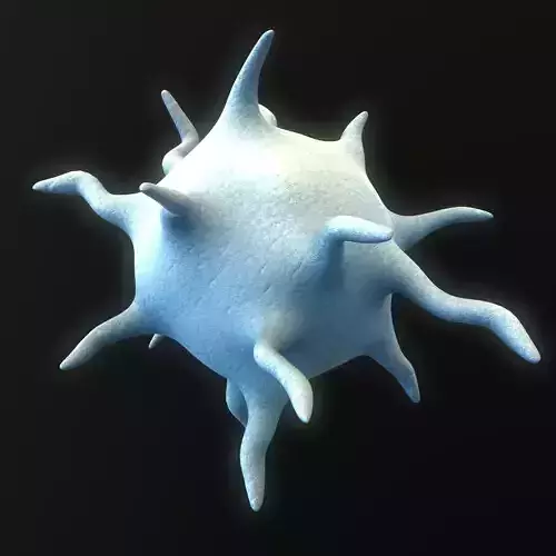 Platelet Thrombocyte