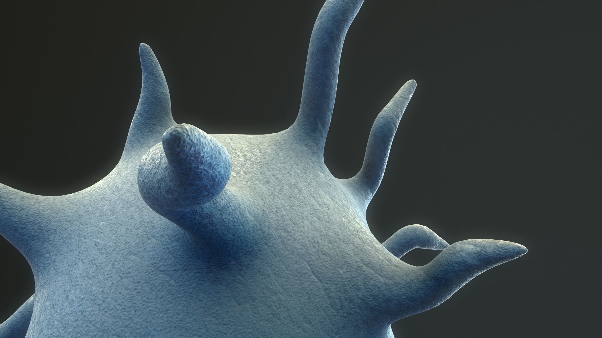 Platelet Thrombocyte 3D model_8