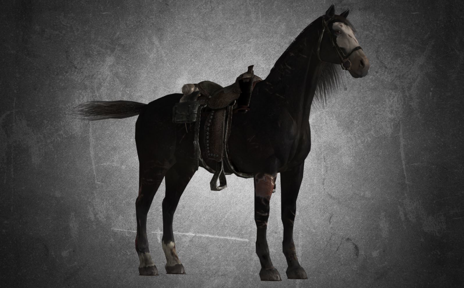 Horse - B1 3D model_5