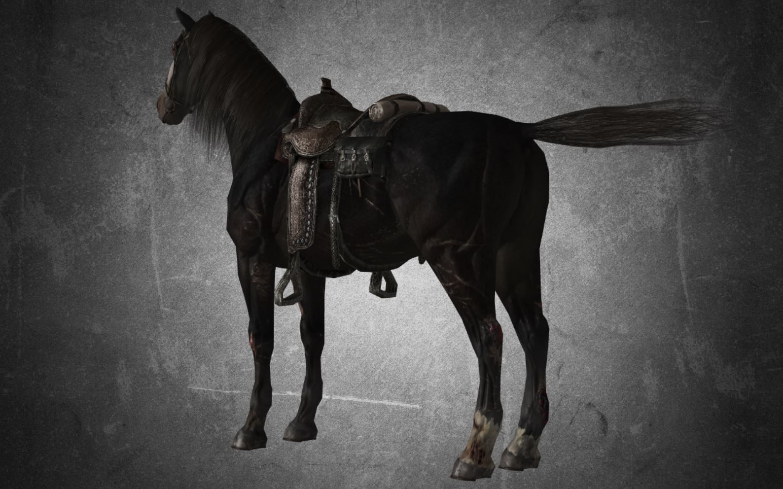 Horse - B1 3D model_4