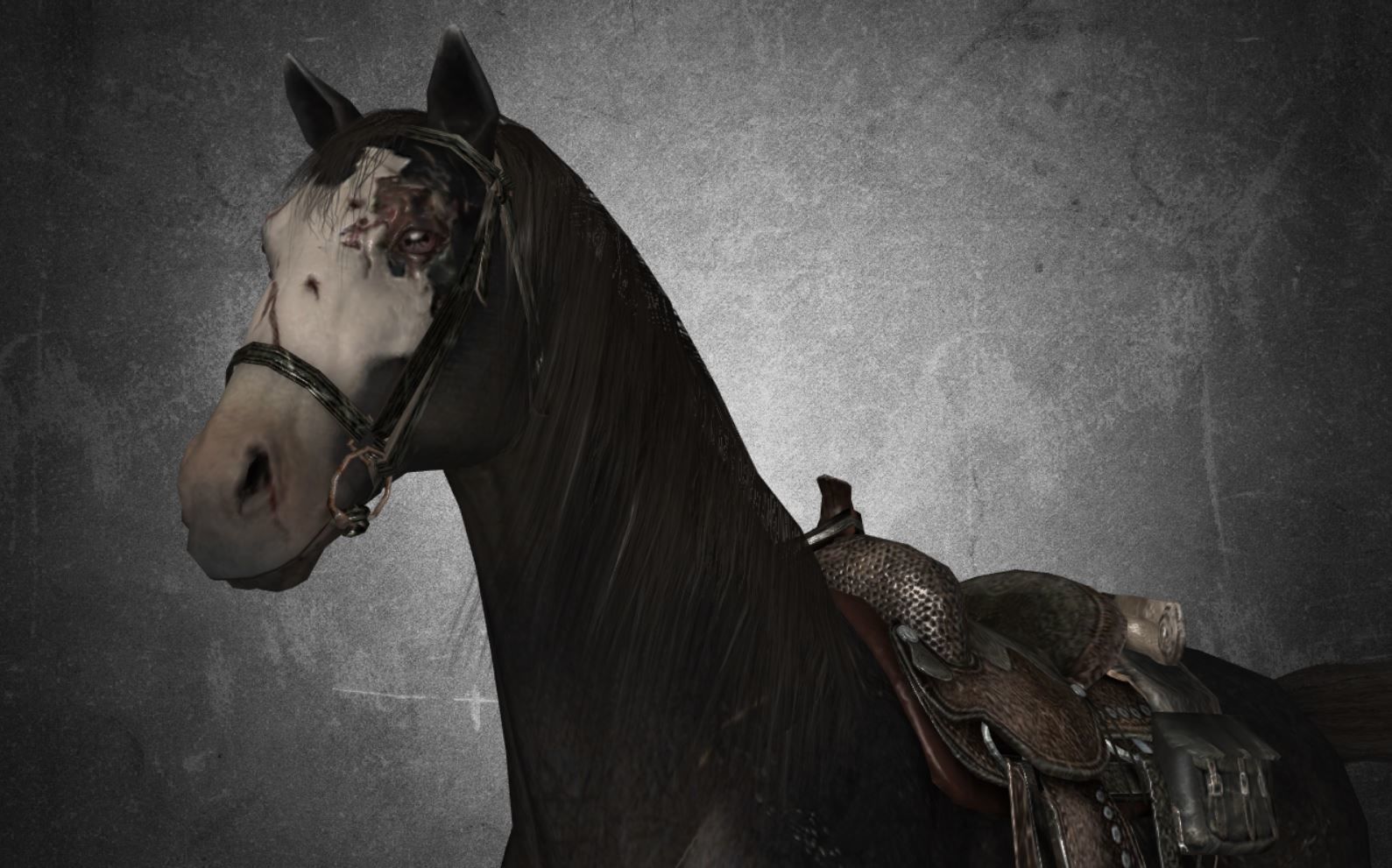 Horse - B1 3D model_6