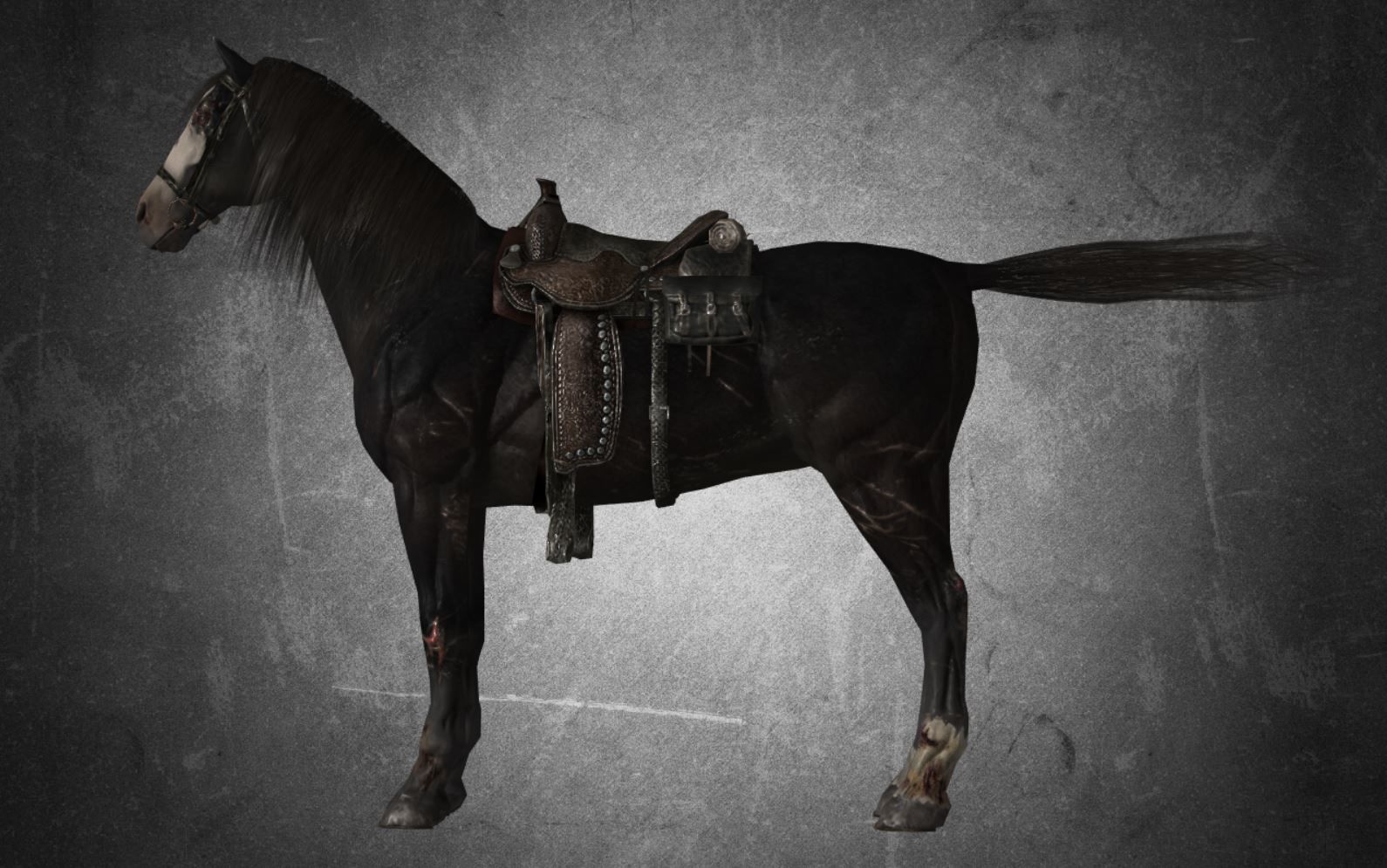 Horse - B1 3D model_3