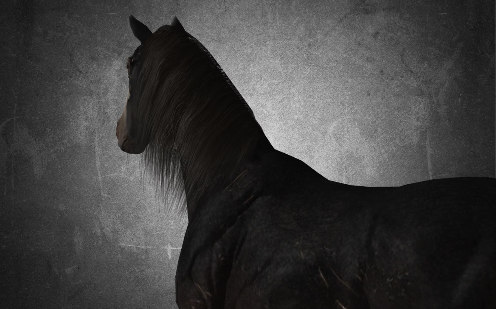 Horse - B2 3D model_7