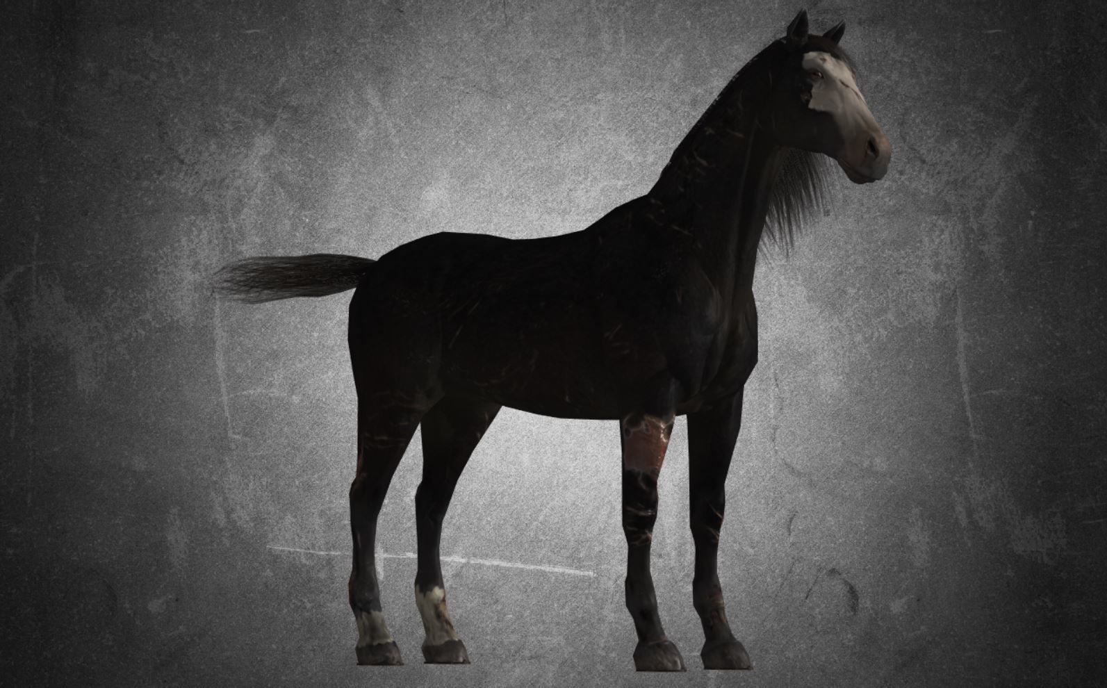 Horse - B2 3D model_5