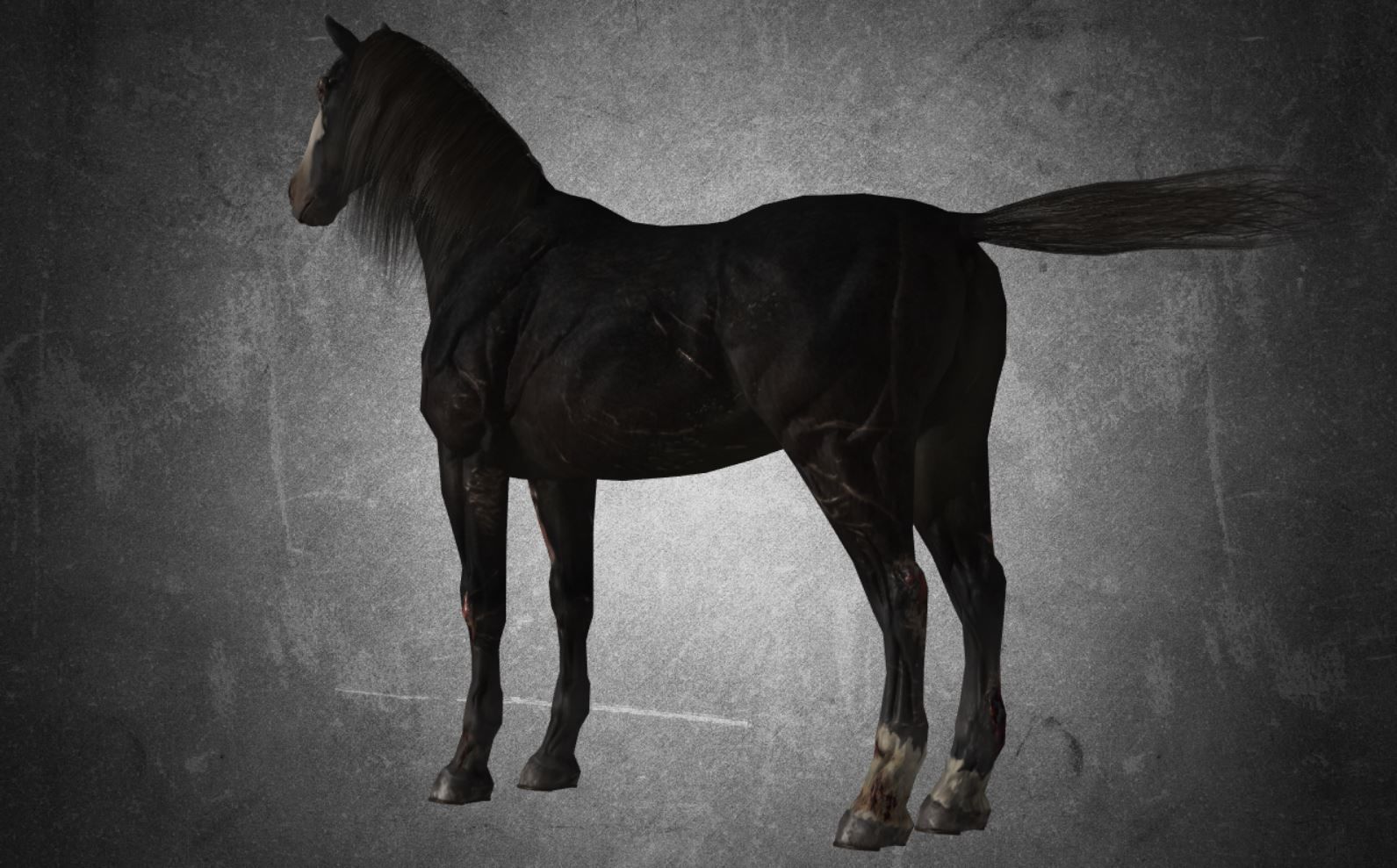 Horse - B2 3D model_4