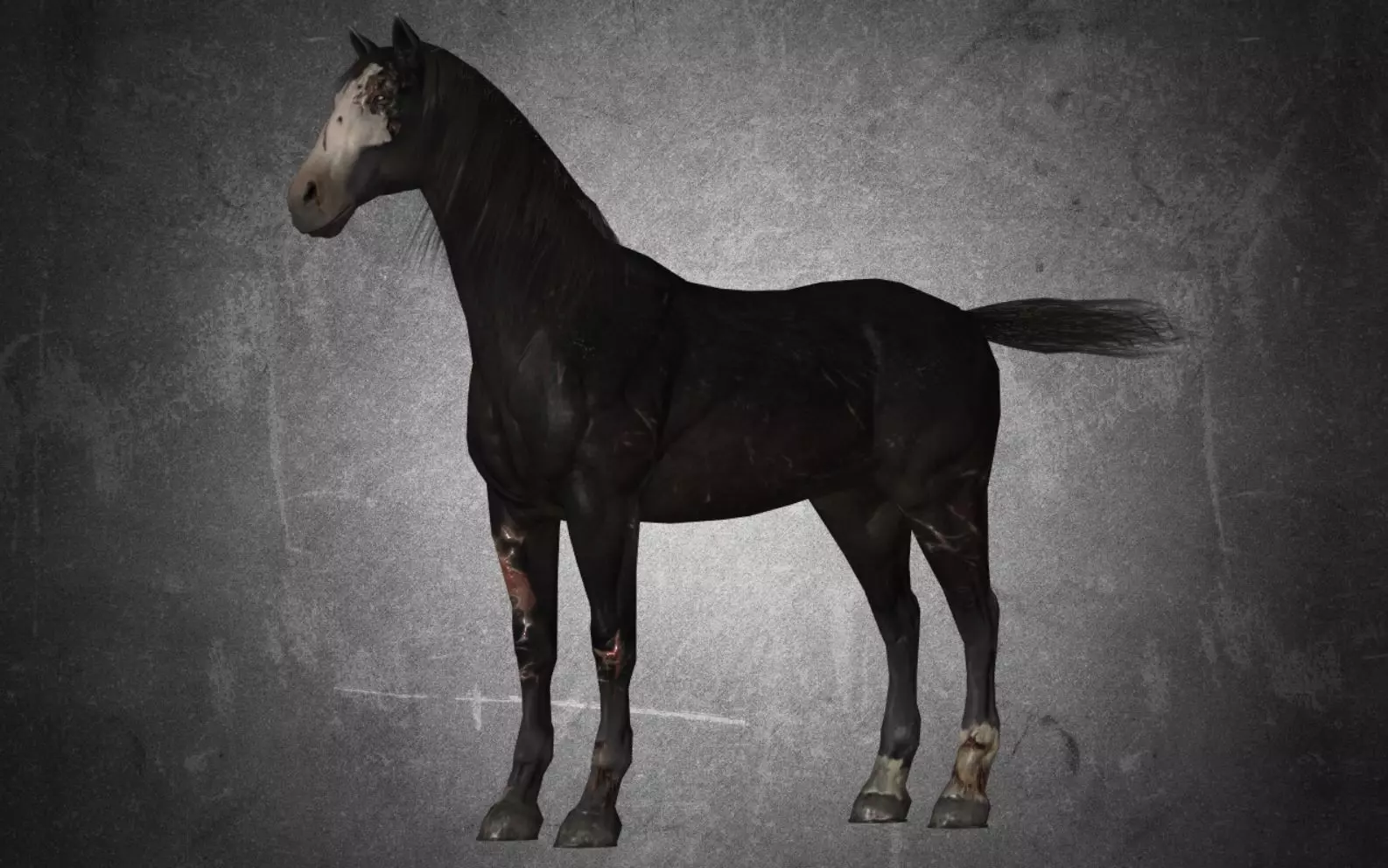 Horse - B2 3D model_0