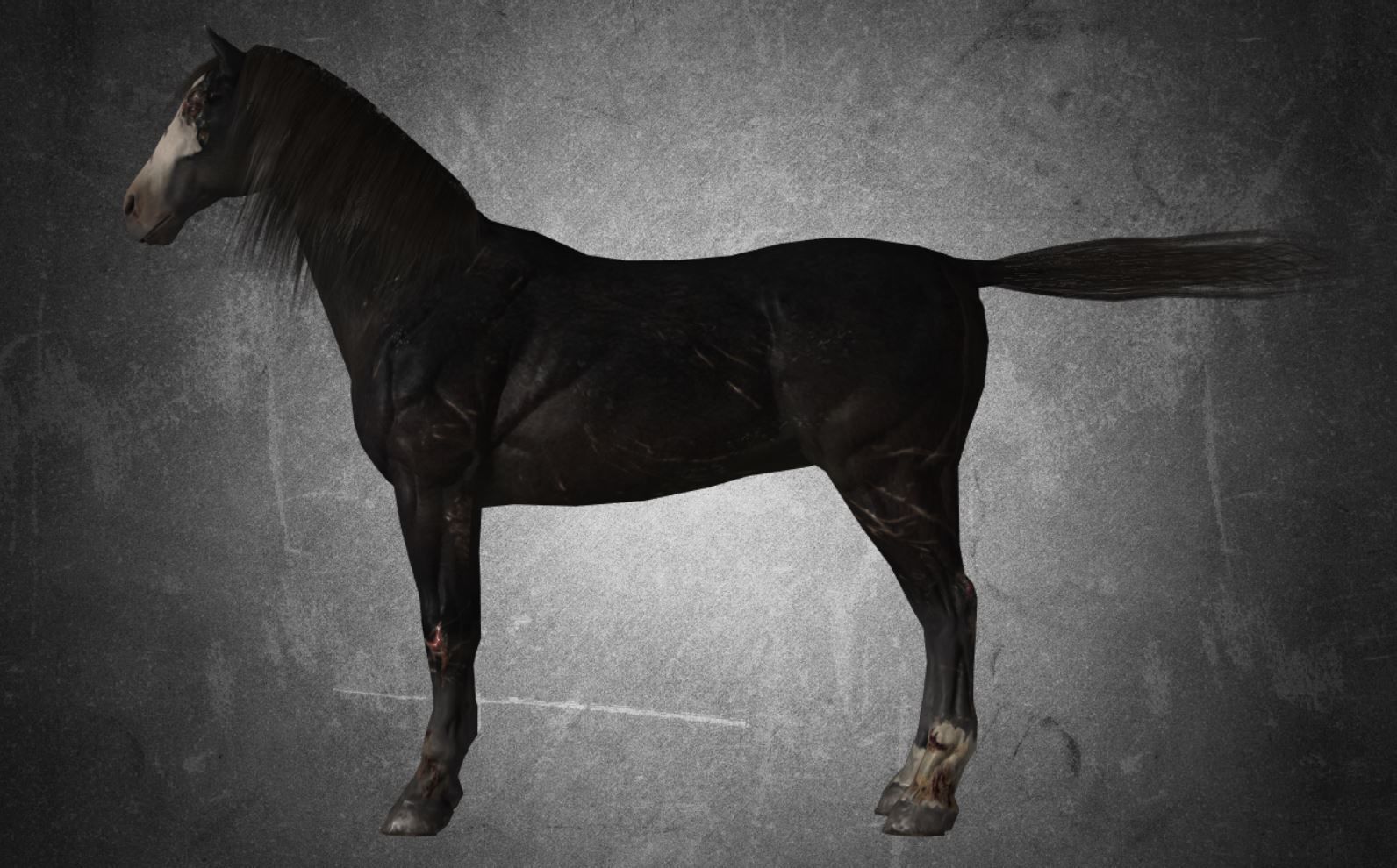 Horse - B2 3D model_3