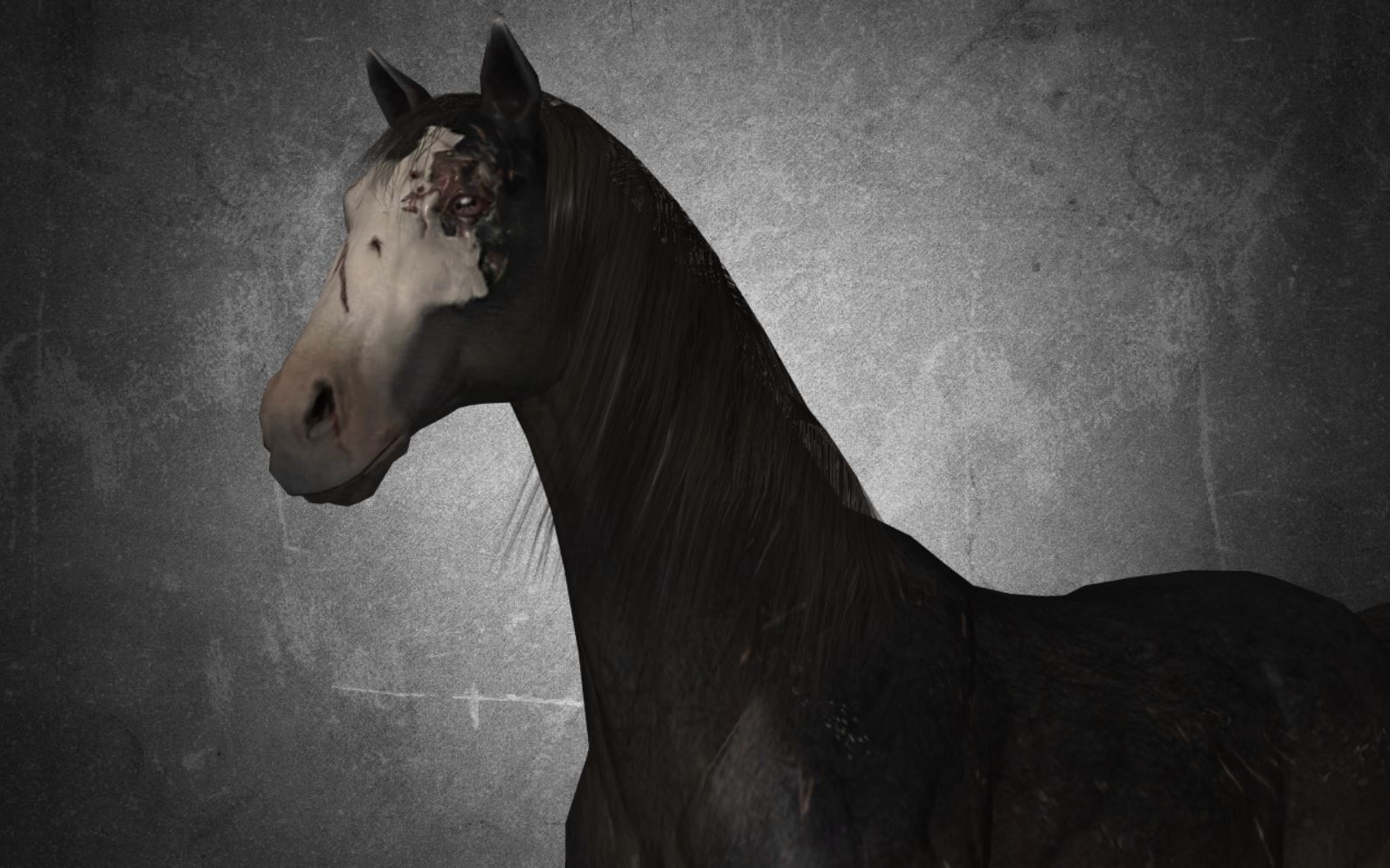 Horse - B2 3D model_6