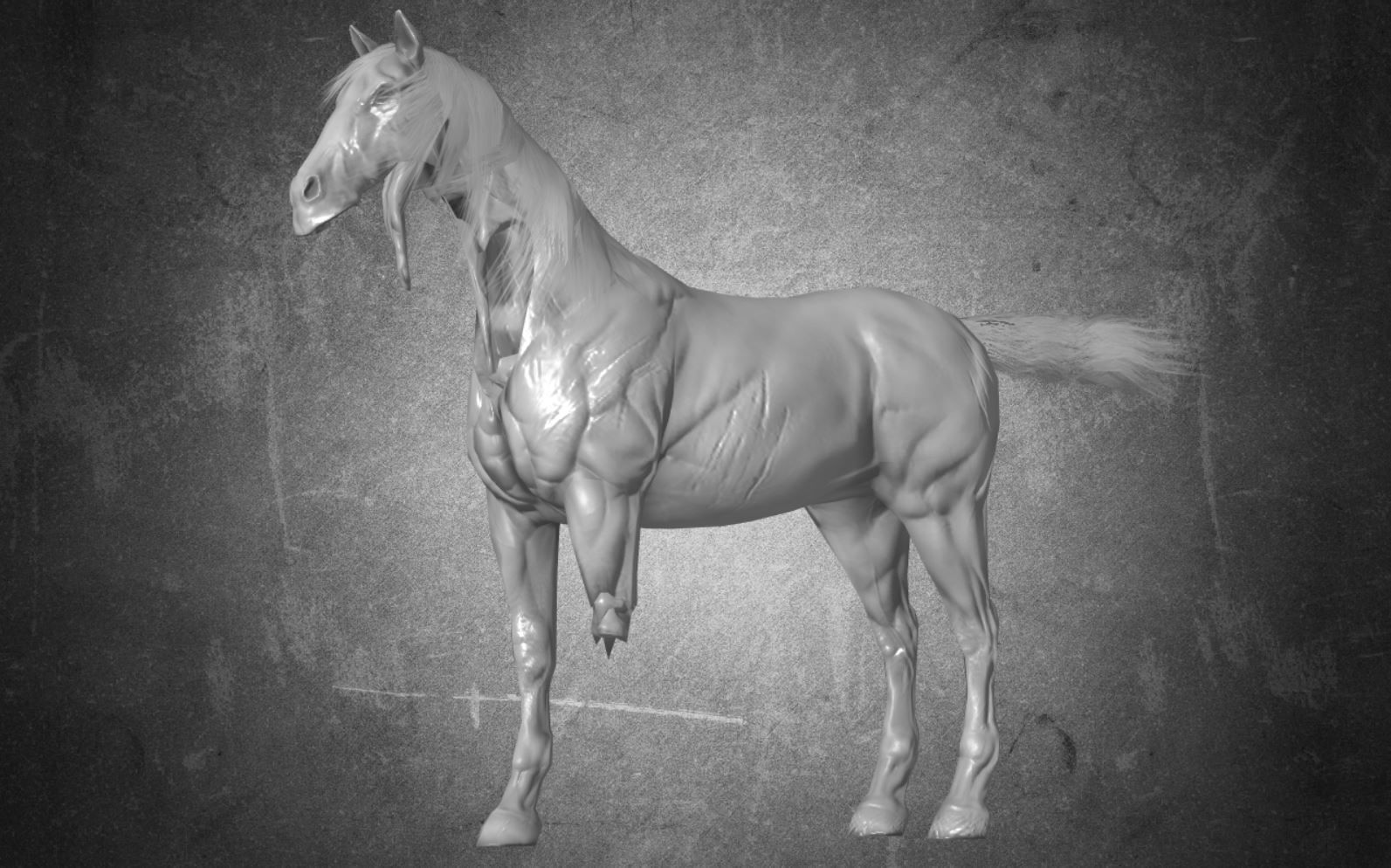 Horse - B4 3D model_1