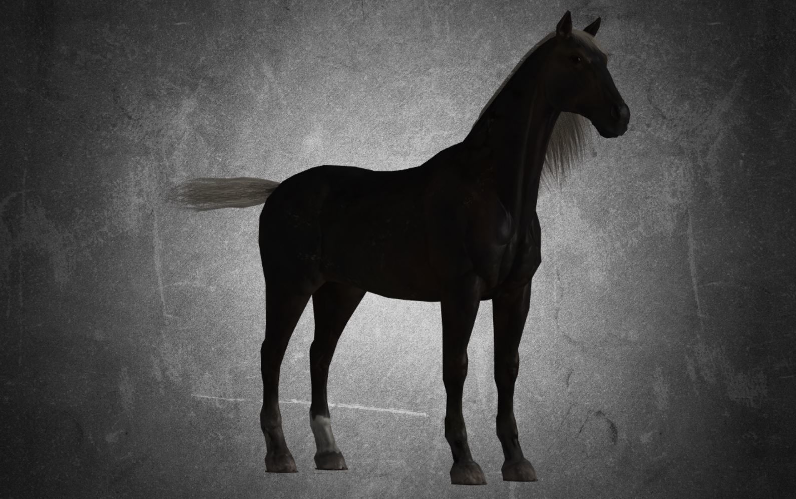 Horse - B6 3D model_5