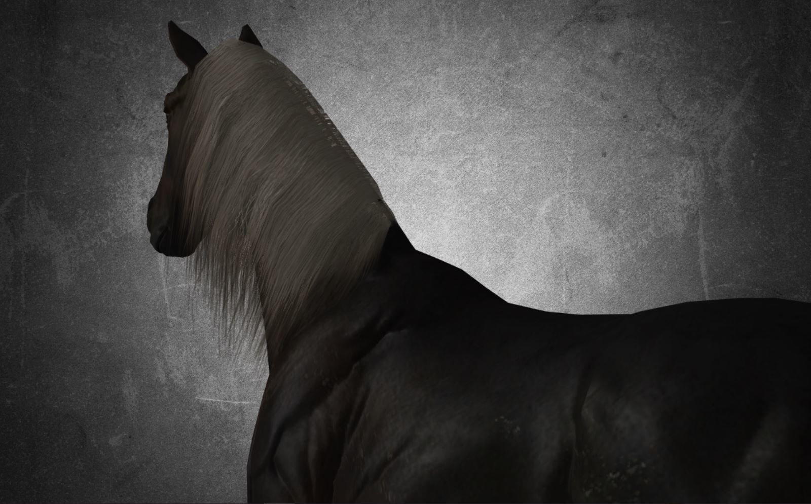 Horse - B6 3D model_7