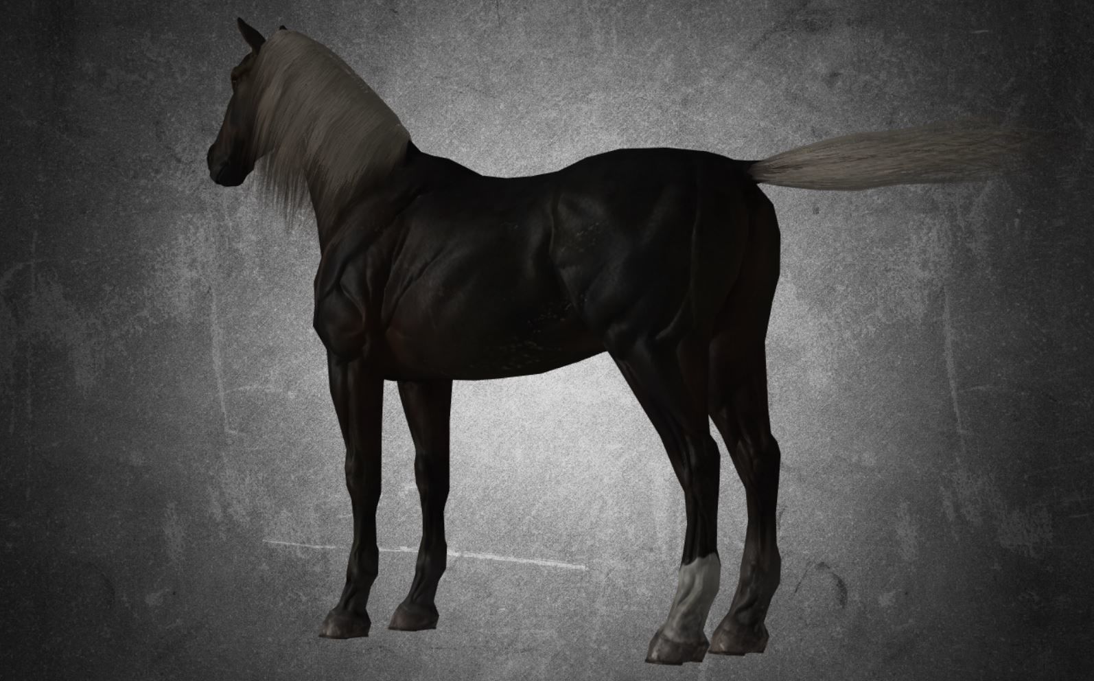 Horse - B6 3D model_4