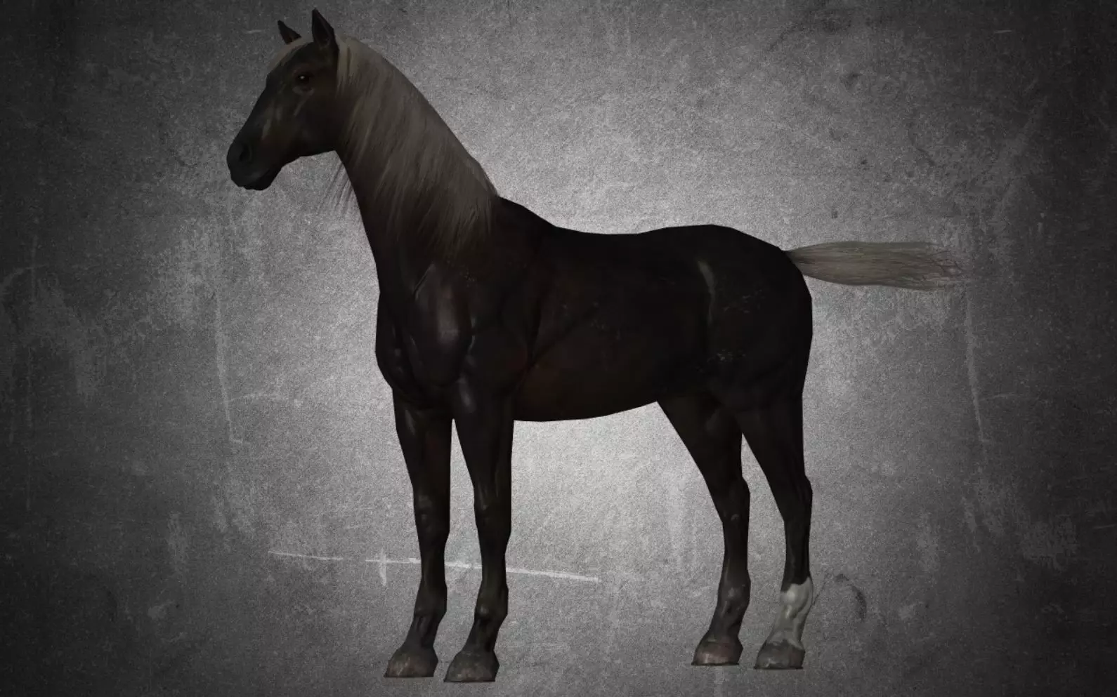 Horse - B6 3D model_0