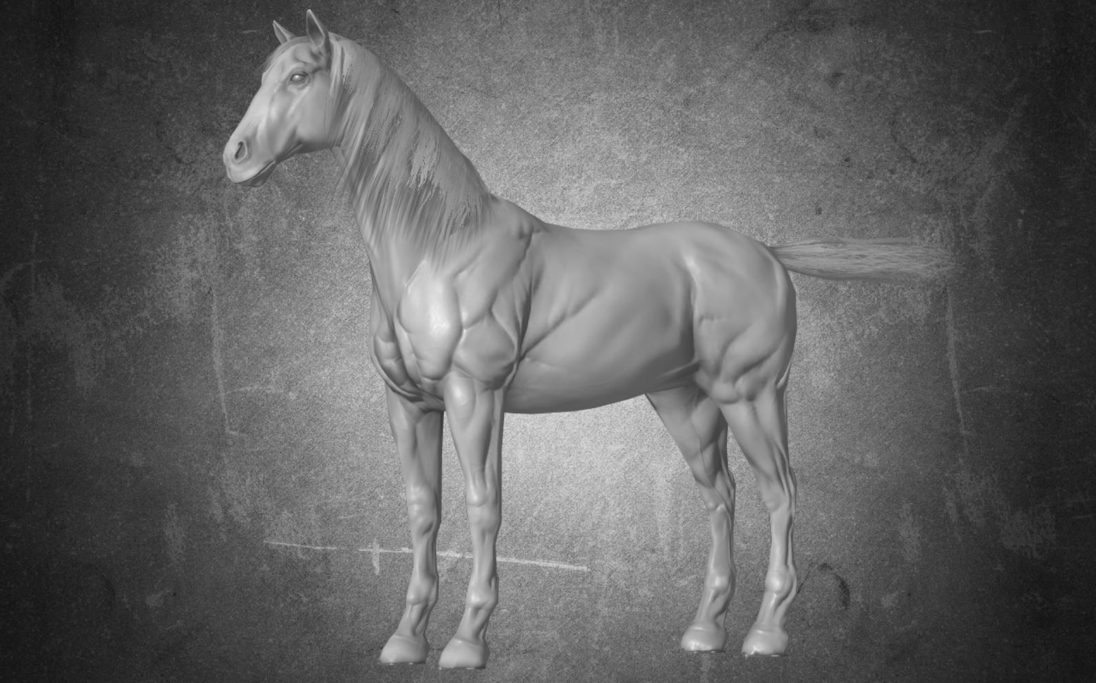 Horse - B6 3D model_1