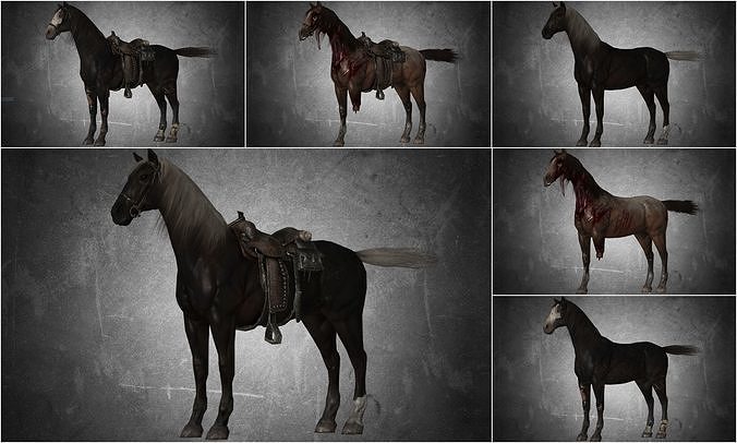 Horse - Pack 02 - 6 MODEL 3D model