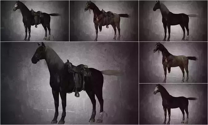 Horse - Pack 02 - 6 MODEL