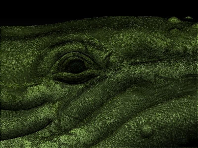 whale 3D print model_7