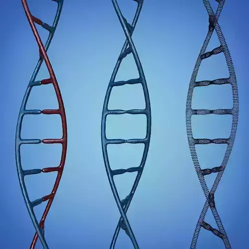 3D DNA model three strands