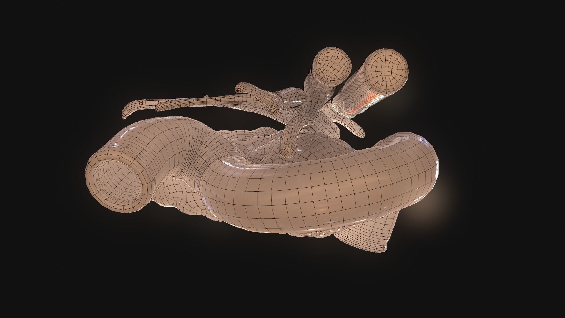 Pancreas human 3D model_12