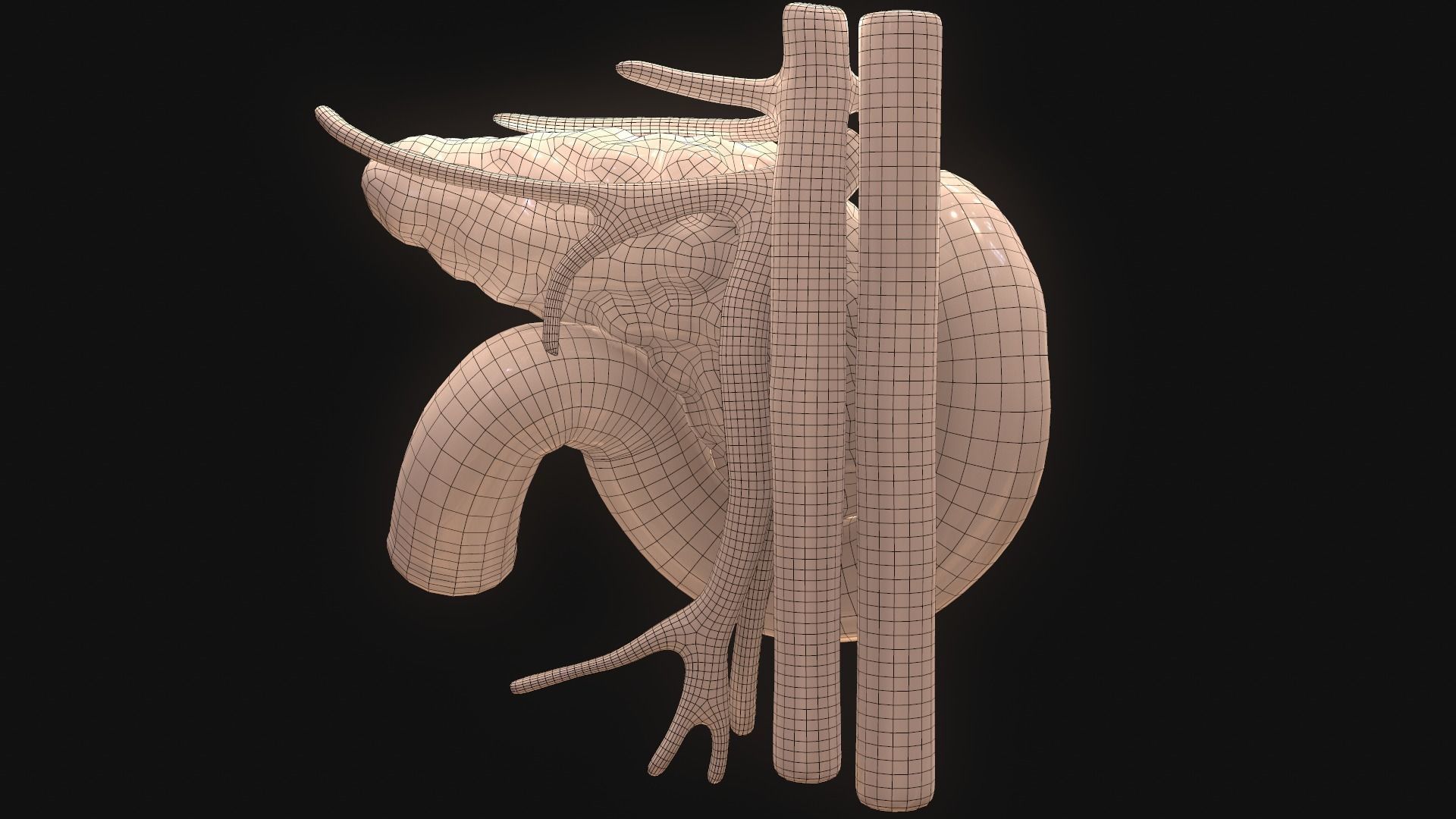 Pancreas human 3D model_10
