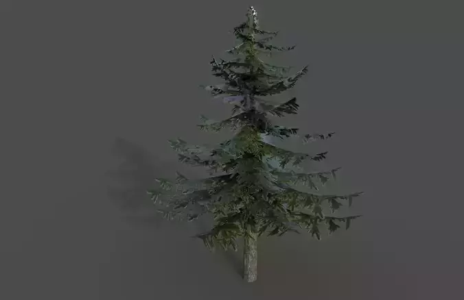 Pine Tree 3D model