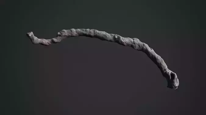 Snag scan 55 Low-poly 3D model