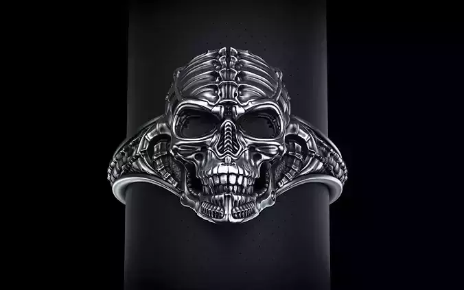 Biomechanical Skull Ring Silencer  3D print model