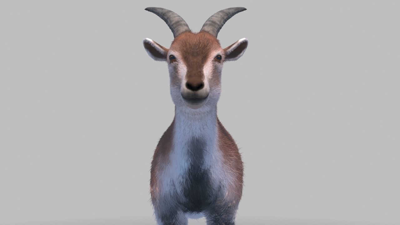 blue sheep 3Dmodel 3D model_4