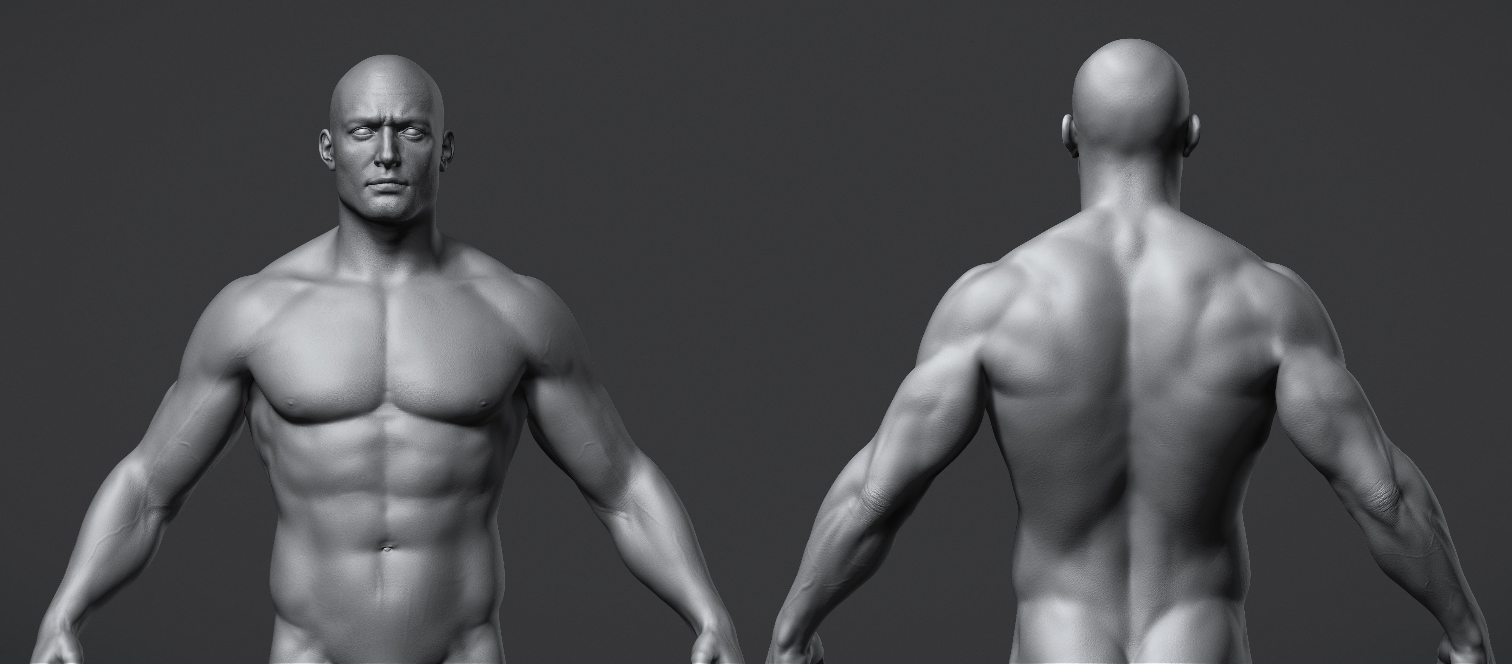 Male Anatomy Reference Model Low-poly 3D model_3