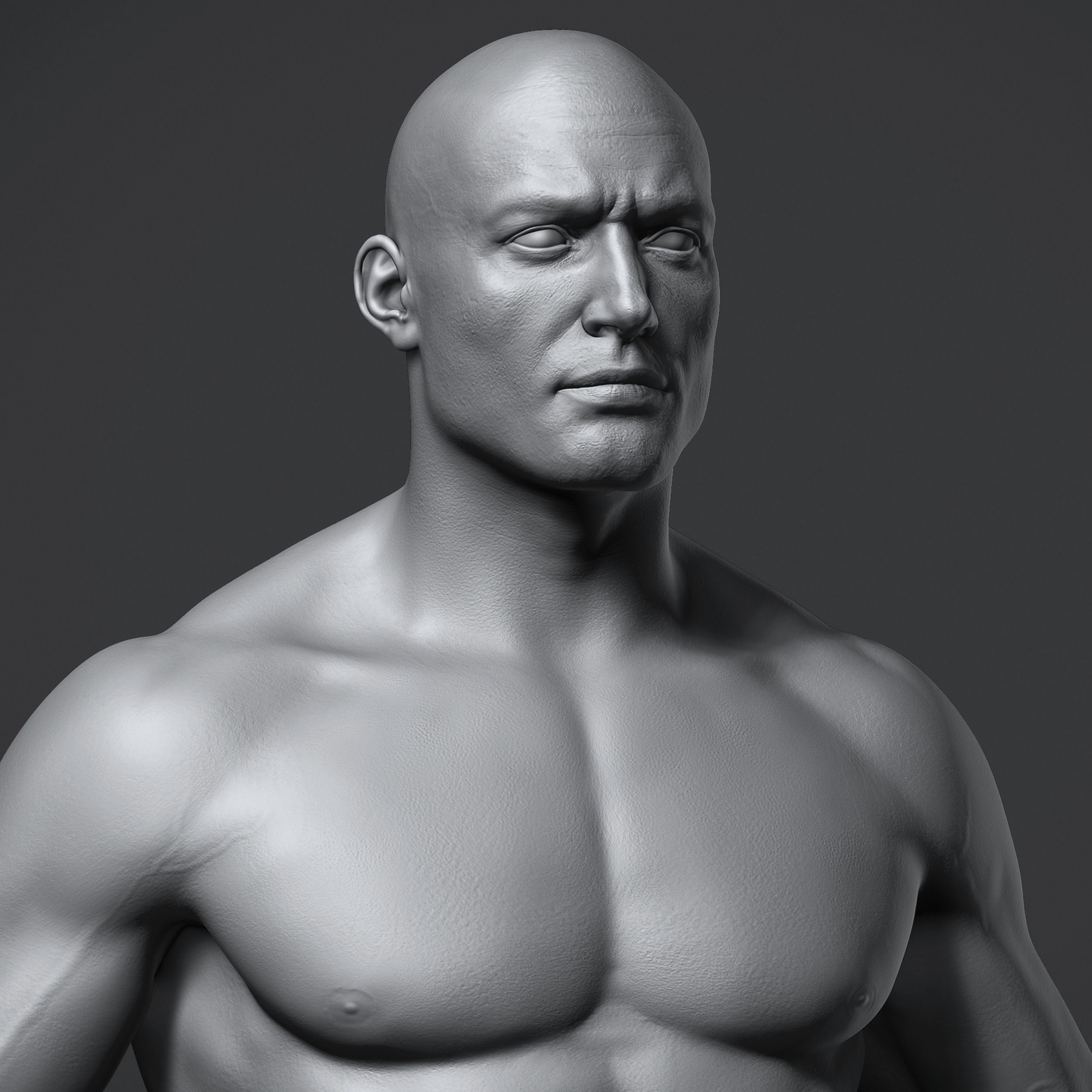 Male Anatomy Reference Model Low-poly 3D model_2