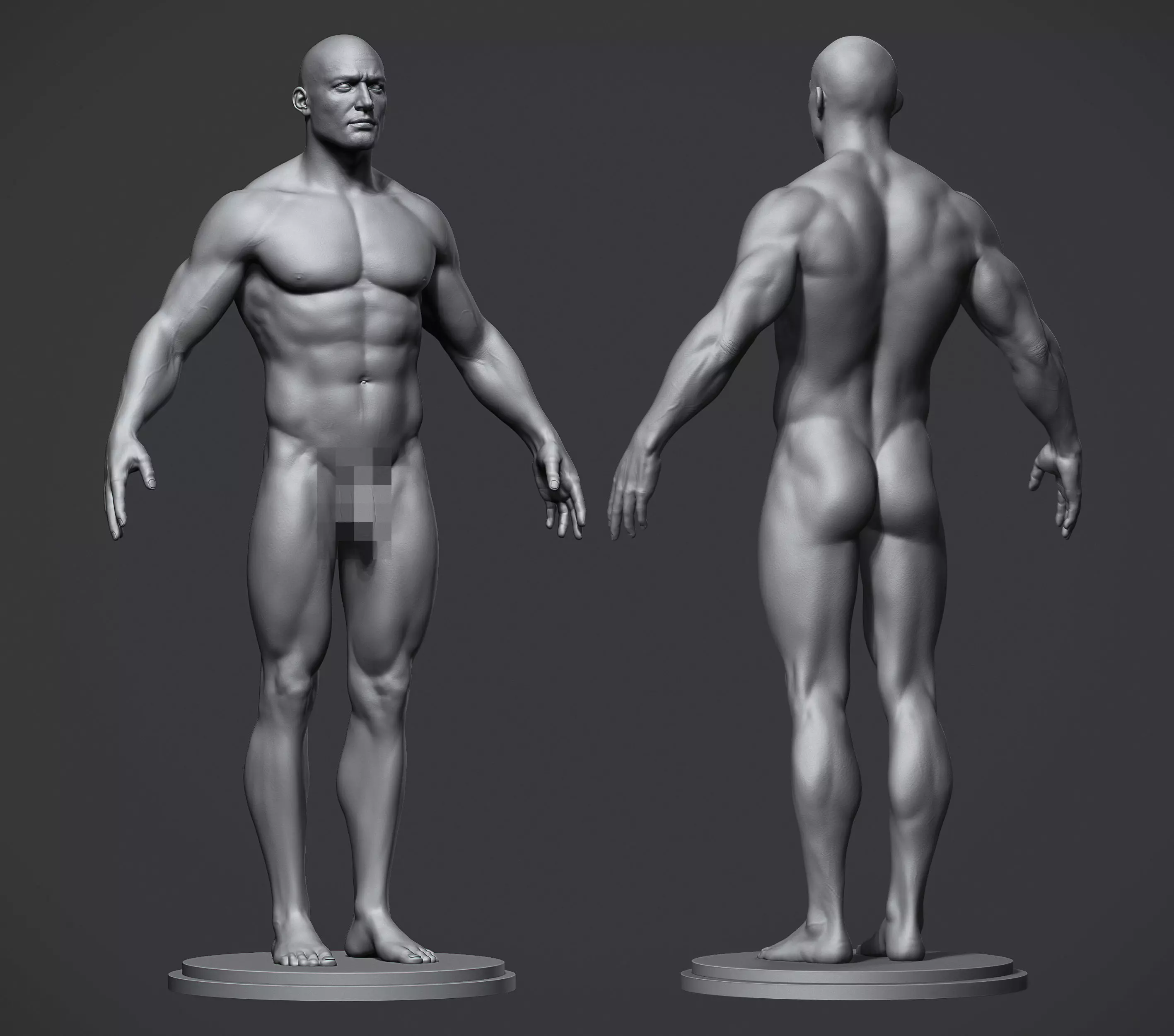 Male Anatomy Reference Model Low-poly 3D model_0