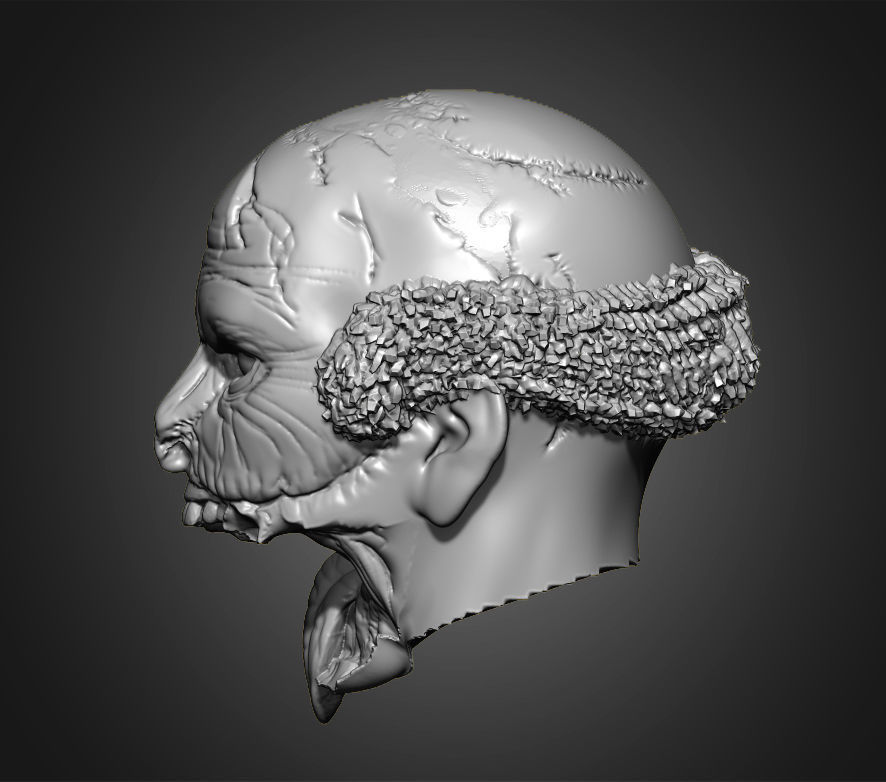 Zombies Heads 3D print model_17