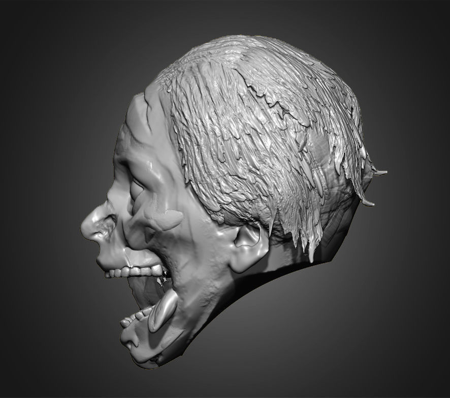 Zombies Heads 3D print model_27