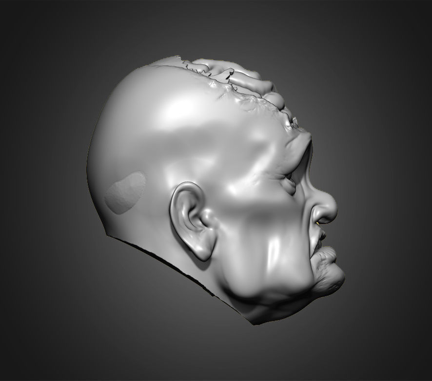Zombies Heads 3D print model_12