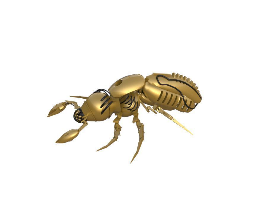 Insects Robot 3D model_5
